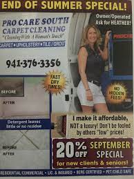 pro care south cleaning services llc