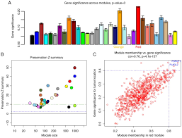 Weighted Gene Coexpression Analysis Indicates That Plagl2