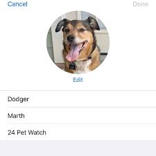 Additionally, you'll have the ability to update your account information by phone or online an unlimited number of. 24petwatch Instagram Posts Gramho Com