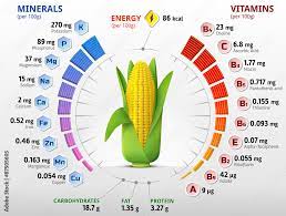 corn cob ear of maize nutrition facts