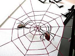 giant yarn spider web
