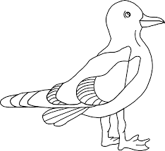 Enter now and choose from the following categories Picture Of A Seagull Coloring Home