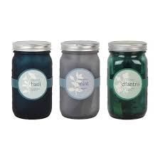 Modern Sprout Garden Jar Herbs Set Of 3