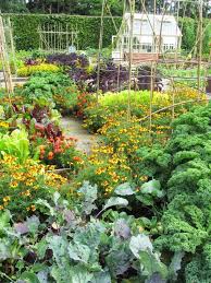 vegetable garden layout 7 best design