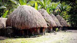 Rumah adat papua / papua adalah provinsi yang berada paling timur dalam wilayah indonesia. Rumah Adat Papua Foto Ist Pilihan Rakyat