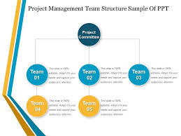 Project Management Team Structure Sample Of Ppt Powerpoint