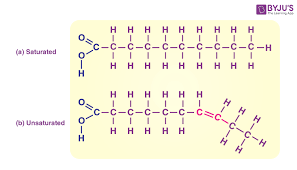 structure clification of lipids