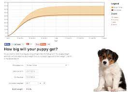 Hopefully you got to see how large the parents were. How Big Will My Puppy Get Estimating How Big A Dog Will Be