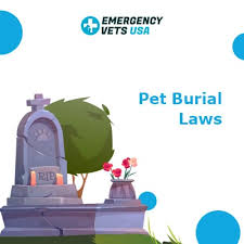 pet burial laws is it legal to bury