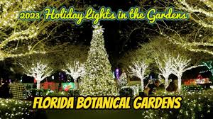 2023 holiday lights in the gardens at