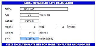 simple bmr calculator the spreadsheet