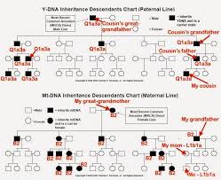Roots Recombinant Dna Native American Dna Is Just Not