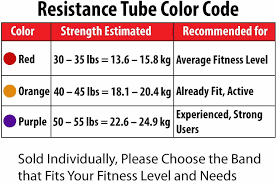 Resistance Tube Band Anti Snap Extra Long Includes Door