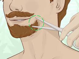 I start with a thinned tooth comb, combing the hairs straight down. Simple Ways To Trim A Handlebar Mustache 8 Steps With Pictures
