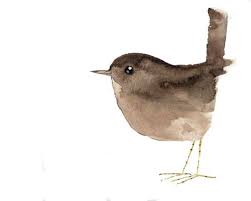 Résultat de recherche d'images pour "bird drawing"