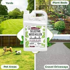 mighty mint selective weed for lawns kills weeds not gr 1 gallon size 1 gallon 128 oz
