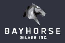 Image result for bayhorse silver