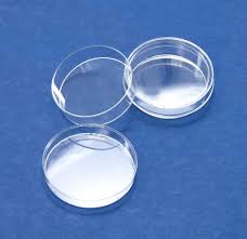 Petri Dishes Lids 20 Pack 55x15 Mm Disposable