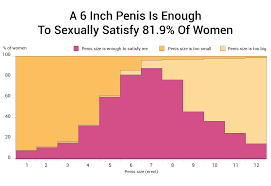 Is 6 Inches Enough Or Too Small [1,387 Woman Study]