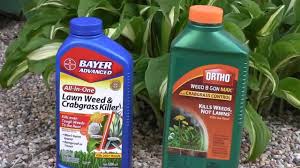 What Is The Best Weed Killer For Lawns Best Weed Control Youtube