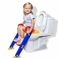 Potty Toilet Seat With Step Stool Ladder