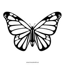 Pin By Karina Garay On Stencil Templates Butterfly Stencil