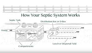 Consider this your last ditch, nothing else has worked effort. How Does Your Septic System Actually Work