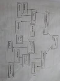 43 Draw The Flow Chart To Show The Classification Of