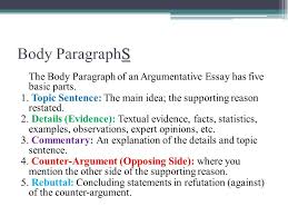 How To End A Body Paragraph In A Persuasive Essay Vision