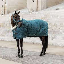 show rug velvet 160gr horse green