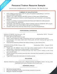 Resume Summary Examples Entry Level Mysetlist Co