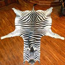 authentic trophy grade real zebra hide