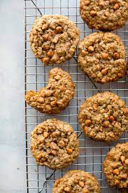soft chewy oatmeal scotchies sally