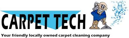 carpet cleaning palmerston north