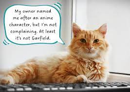 anime cat names for your neko