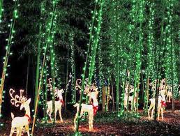 holiday lights at bamboo gardens