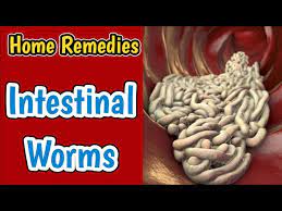 natural treatment for intestinal worms