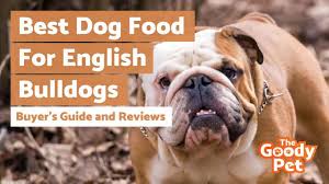 Dog owners love to ask… what's the best dog food? but think about that for a moment. 8 Best Dog Foods For English Bulldogs February 2021 Reviews The Goody Pet