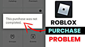 purchase was not completed roblox