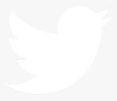Download this tweet, twitter, twitter logo icon in solid style from the social media category. Twitter Logo Png Twitter Icons Png White Transparent Png Kindpng