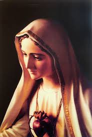 our lady of fatima mother mary poster