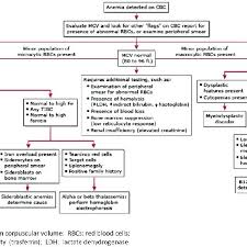 Flowchart To Follow In The Diagnosis Of Anemia According To