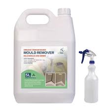 Mould Remover Best Mould Made
