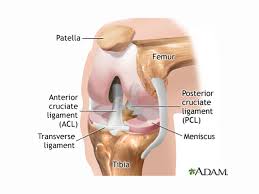 torn meniscus treatments physical
