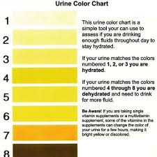 Urine Indication Of Hydration Colour Chart Health How