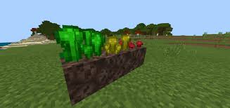 Nether wart blocks can now be obtained via bartering with piglins. Mcpedl On Twitter Better Nether Wart 1 16 Texture Pack Https T Co W7bbpikwkb By Thwminecrafter