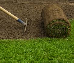 How much does zoysia sod cost? Sod Installation Cost Calculator With Avg Sod Prices 2021