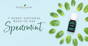 7 ways to use spearmint essential oil