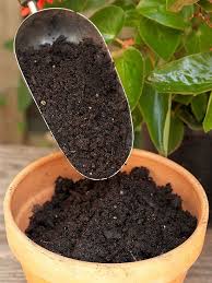 Guide To Soils And Potting Mixes