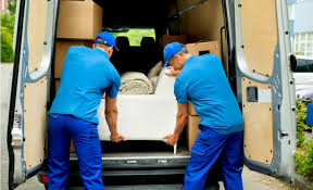 Everything You Need To Know About Van Weights Business Law